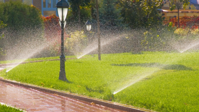 Installation des systèmes d'irrigation